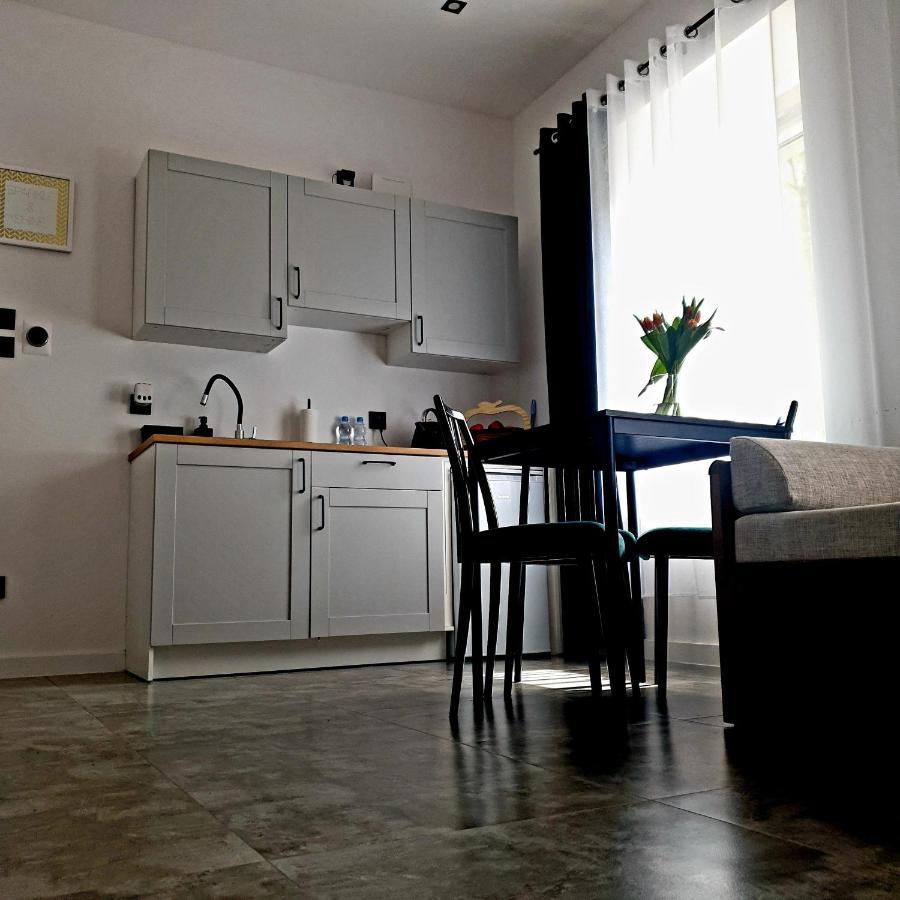 Apartament Z Historia 耶莱尼亚古拉 外观 照片