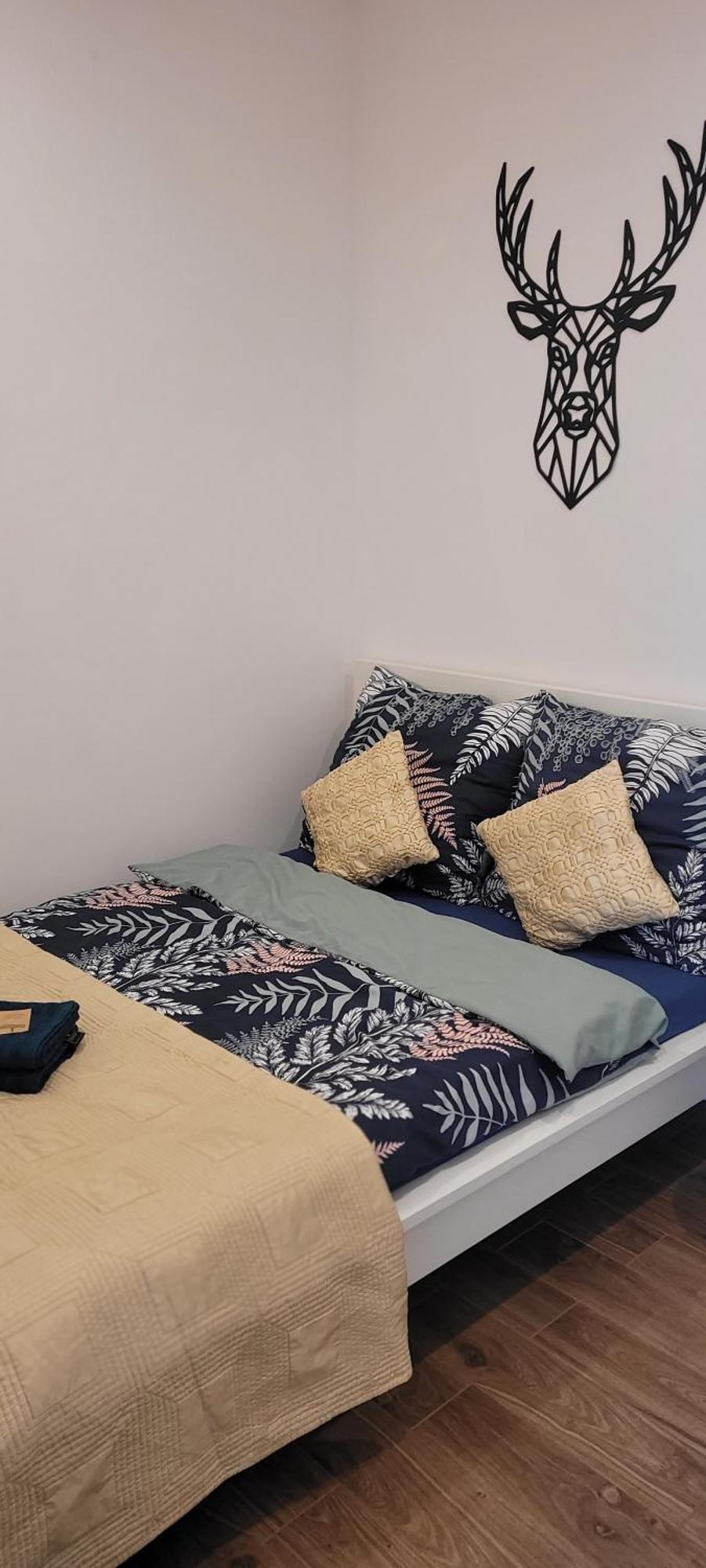 Apartament Z Historia 耶莱尼亚古拉 外观 照片