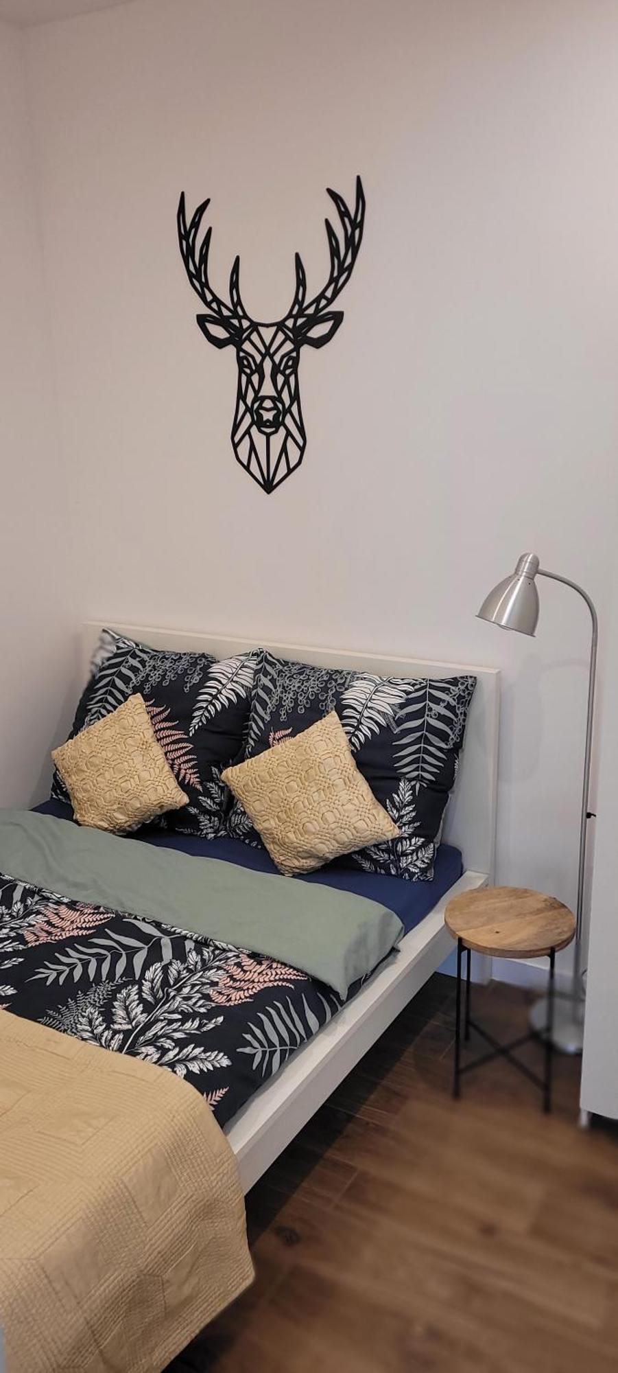 Apartament Z Historia 耶莱尼亚古拉 外观 照片